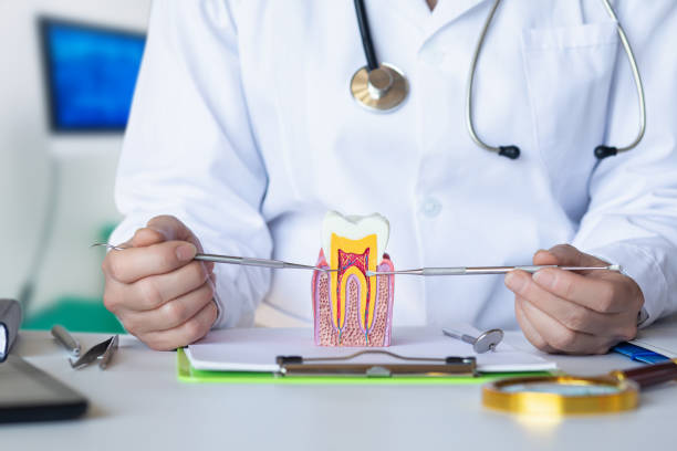 Best Knocked-Out Tooth (Avulsed Tooth) Treatment in Beesleys Point, NJ